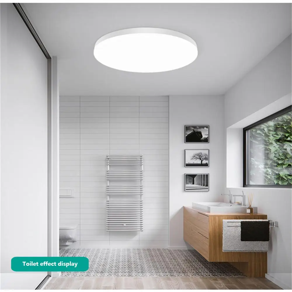 Induction Ceiling Light Human Body Induction Acousto-optic Control Home Corridor Stair Aisle Light LED Acrylic Iron Lighting