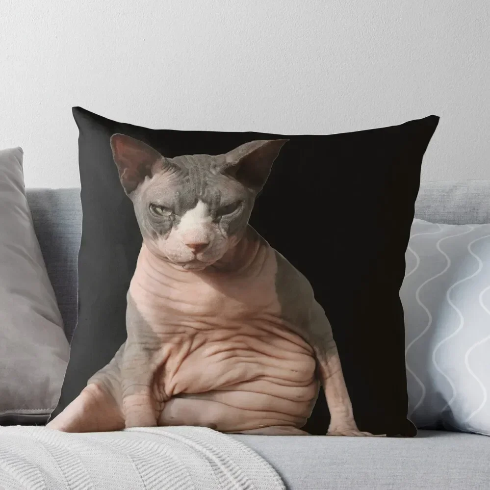 

Giant hairless cat Throw Pillow Sofa Decorative Covers Luxury Living Room Decorative Cushions Pillow