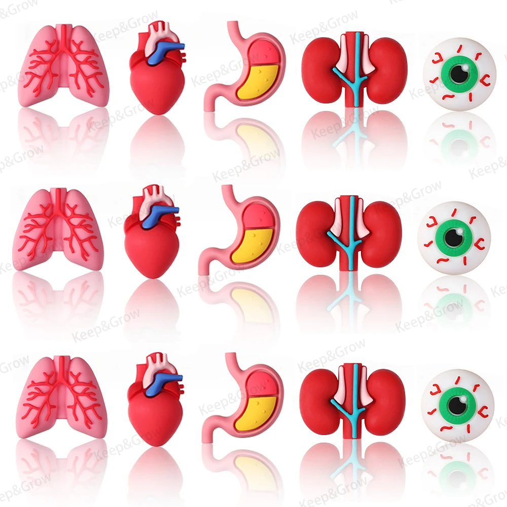 5/20/50Pcs Doctor Theme 3D Silicone Beads Organ Shaped Perfect Focal Beads for Decoration DIY Jewelry Making KeysChain Pen Bead