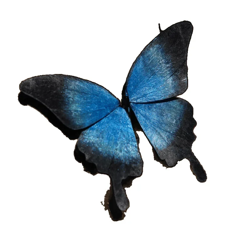 

Pure handmade bionic butterfly national style hairpin brooch premium gift