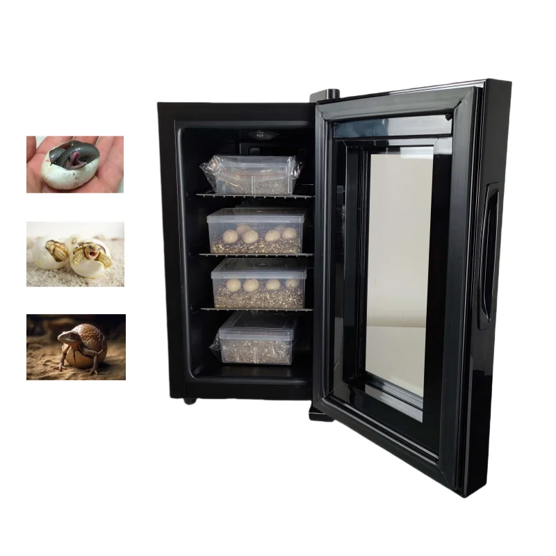 Wholesale Reptile Pet Hatching Box Snake Hatching Machine Reptile Constant Temperature Hibernation