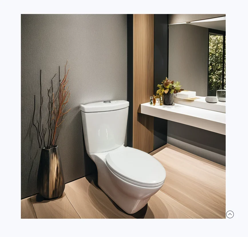 China's High-end Water-saving and Environmentally Friendly Siphon Split Toilet