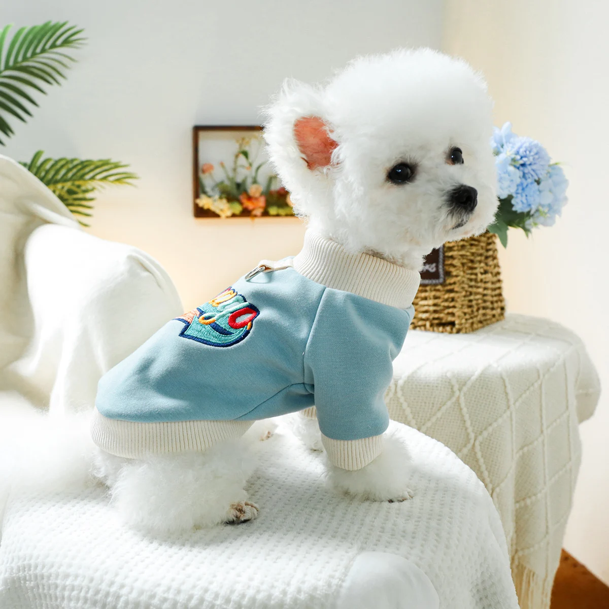 1PC Pet Clothing Spring and Autumn Velvet Hoodie Blue Color Chicago Hoodie Suitable for Small and Medium sized Dogs