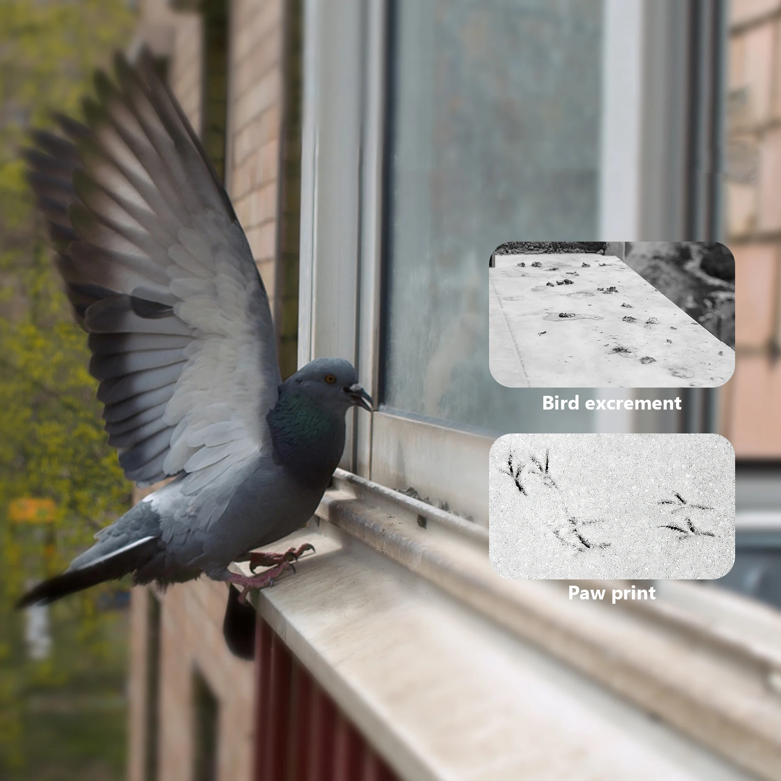 

10 Sets Anti Bird Spike Plastic Pigeon Prevention Strips Outdoor Fence Spike Kit Humane Bird Deterrent for Roof Chimney Gazebo