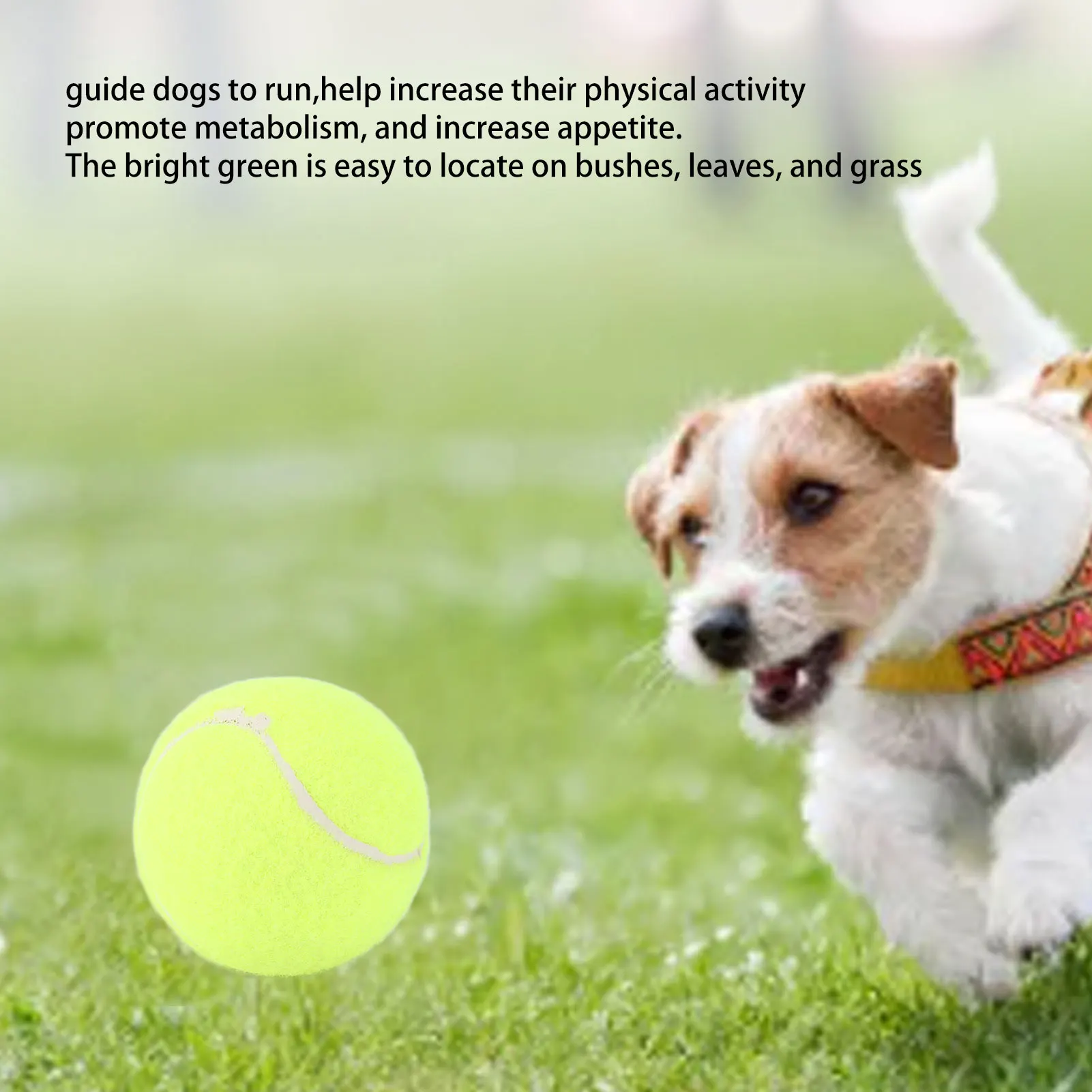 Pet Dog Toy Ball Sturdy Non Toxic Scratch Resistant Pet Interactive Tennis For Dogs Pet Tennis Toy