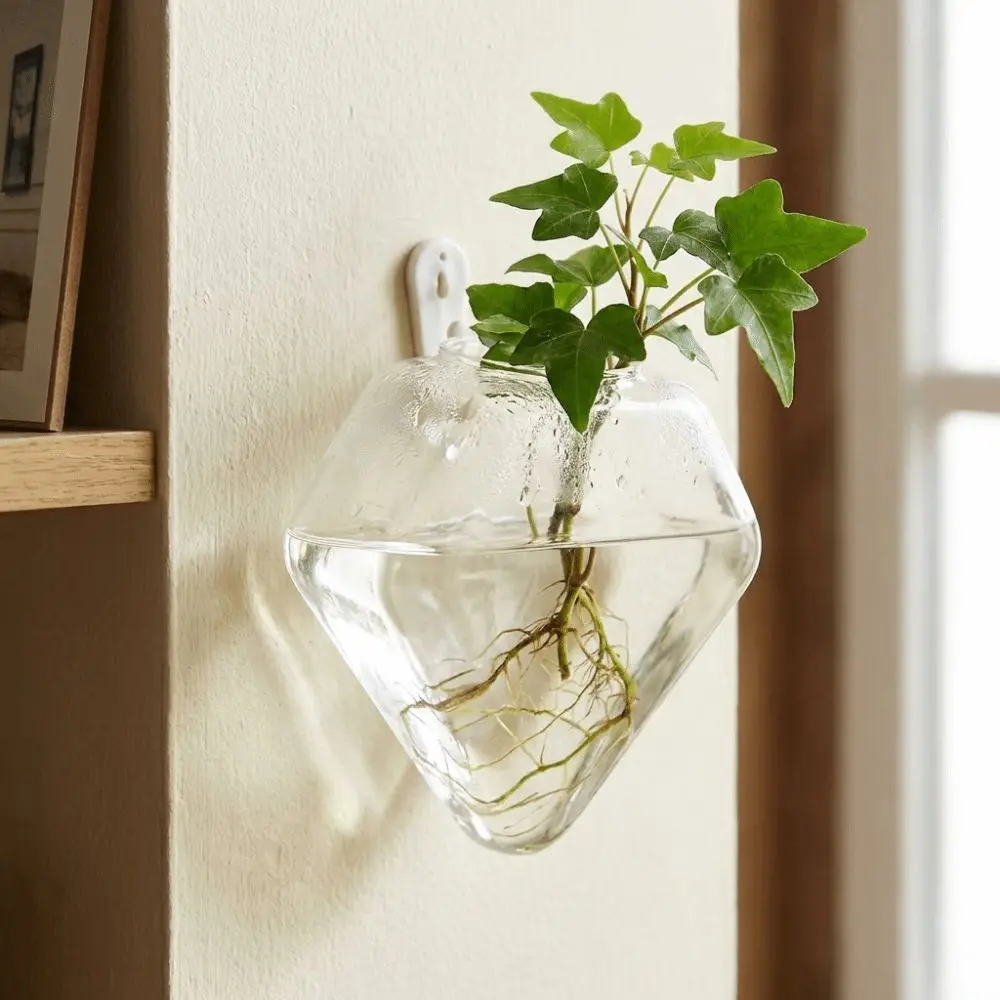 Irregular Shape Hydroponic Vase Transparent Wall Mounted Flower Pot Glass Crafts Plant Propagation Wall Hanging Vase
