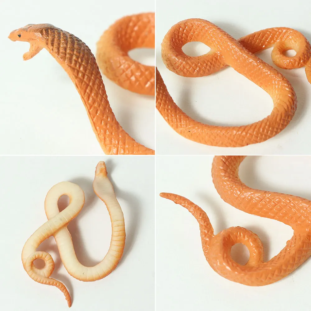 

12 mini plastic rainforest snakes, realistic and colorful fake snake toys. Halloween party favorite decoration, prank toys