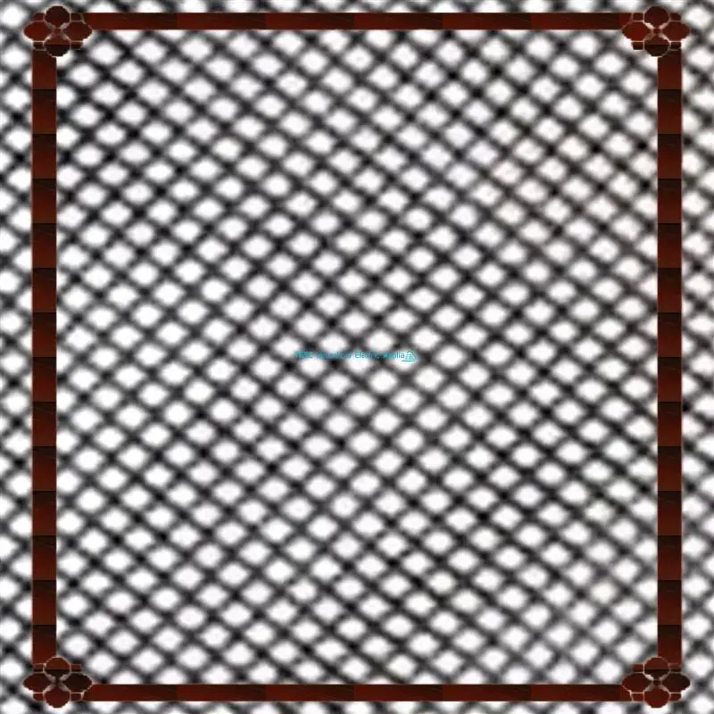 Barella per capelli con chiusura a lunghezza di consegna in 24 ore, barella per capelli con lunghezza e blocco, rete per barella per capelli con lunghezza N-Lock, lunghezza e blocco, 2P