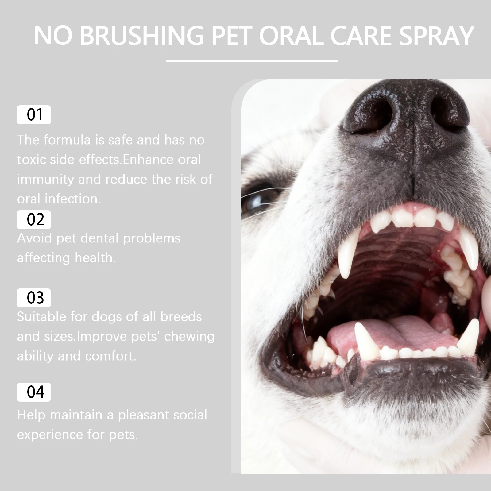 Dog Oral Care Spray Brushing Removes Plaque Tartar Eliminates Bad Breath Lasting Fresh Breath Safe Pet Dental Care Solution 50ml