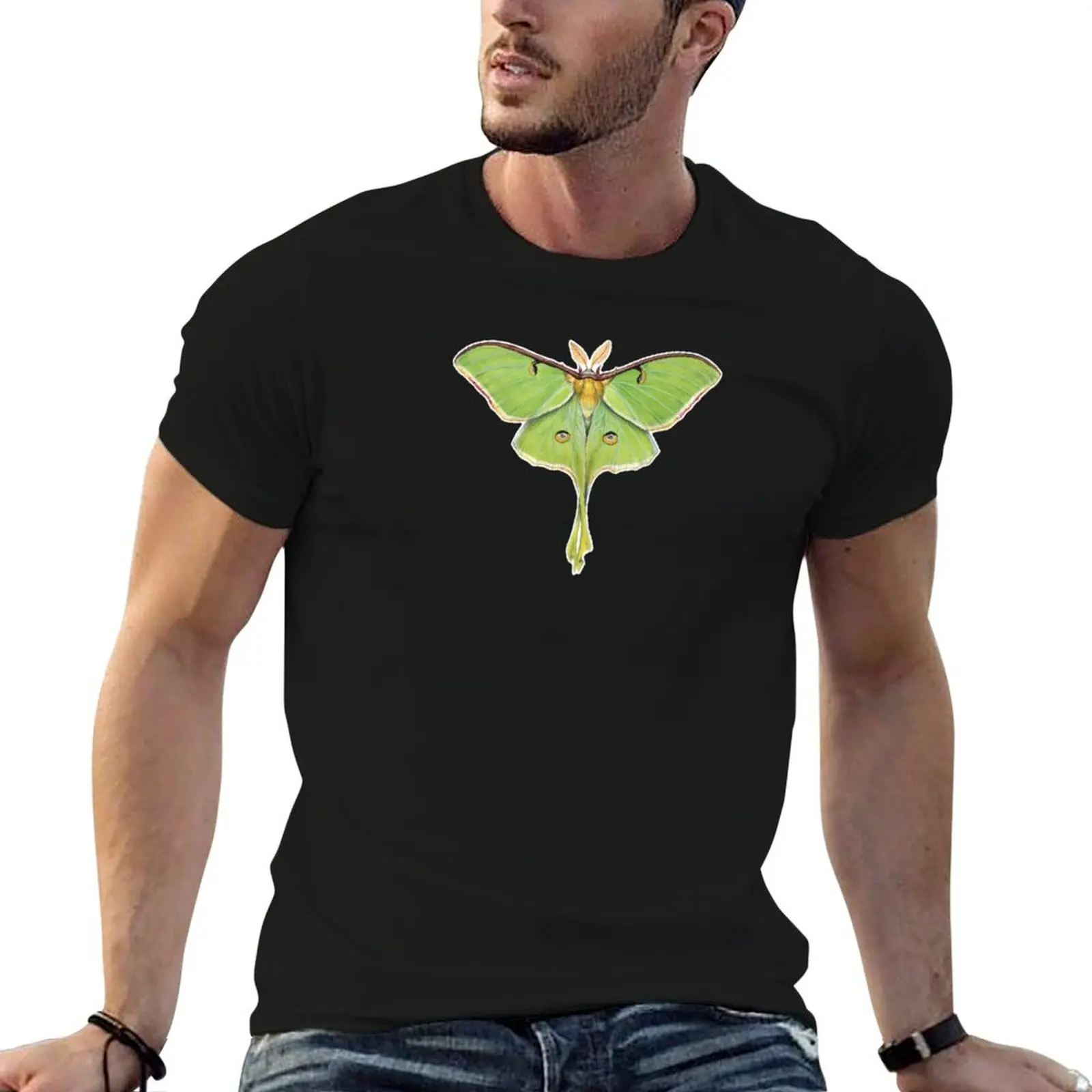 Luna Moth (Actias L… - image