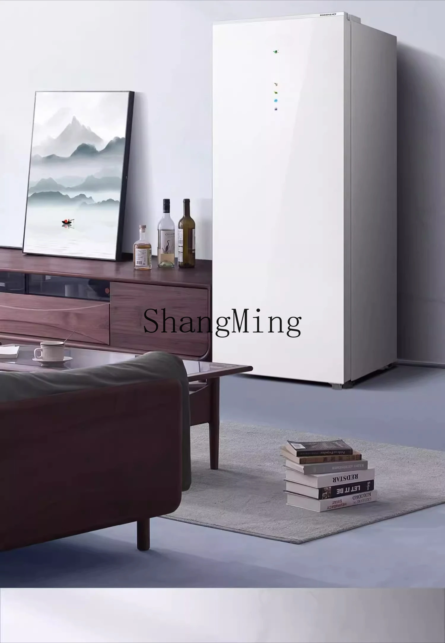 ZYY piccolo congelatore verticale ad alta efficienza energetica di prima classe raffreddato ad aria per uso domestico congelatore a conversione di frequenza commerciale