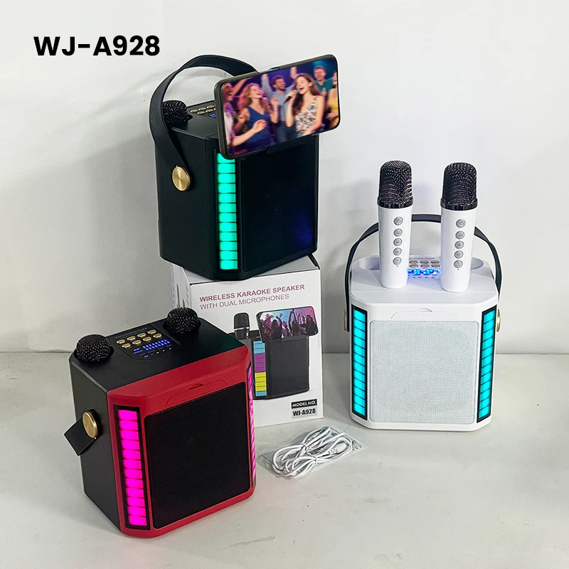 Dual Microphone Wir… - image