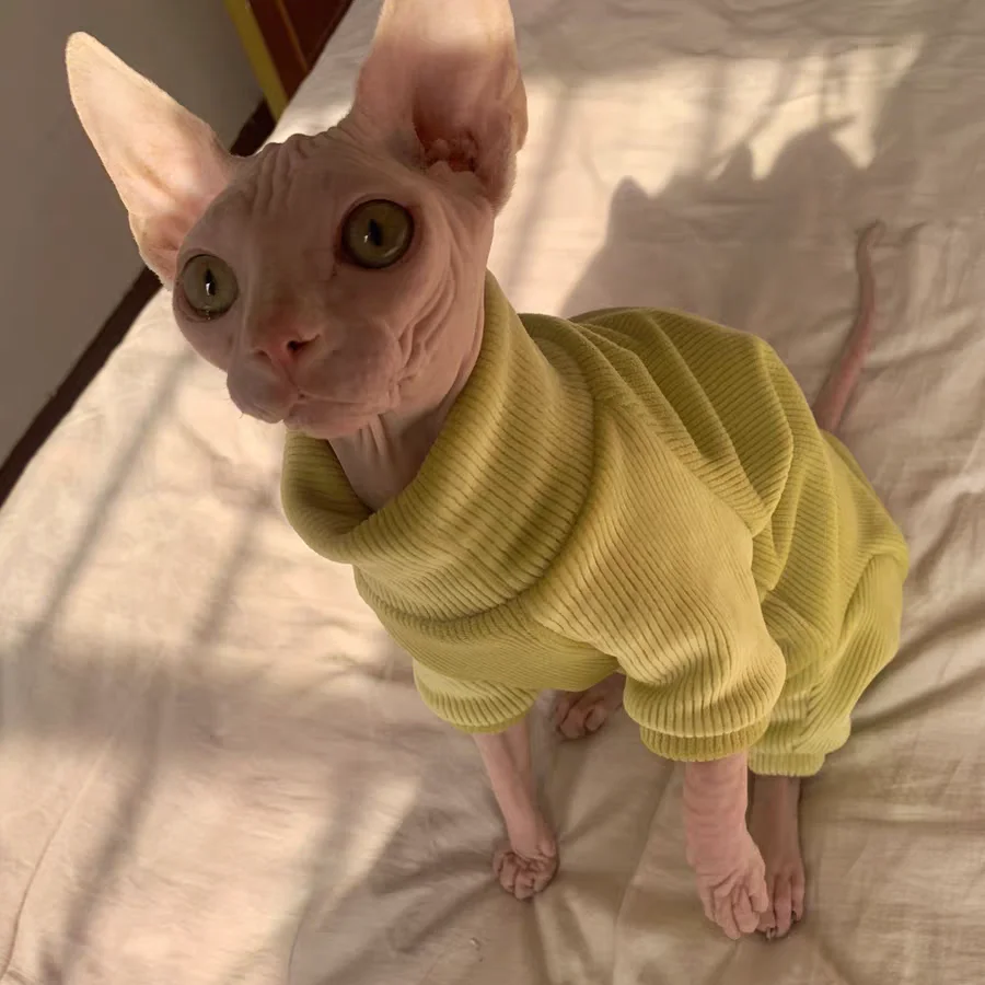 Warm Fleece Sweater for Cat 4-legged Winter Coat for Sphynx Cat Yellow Sweatshirt for Kittens Dogs Soft Loungewear for Devon Rex