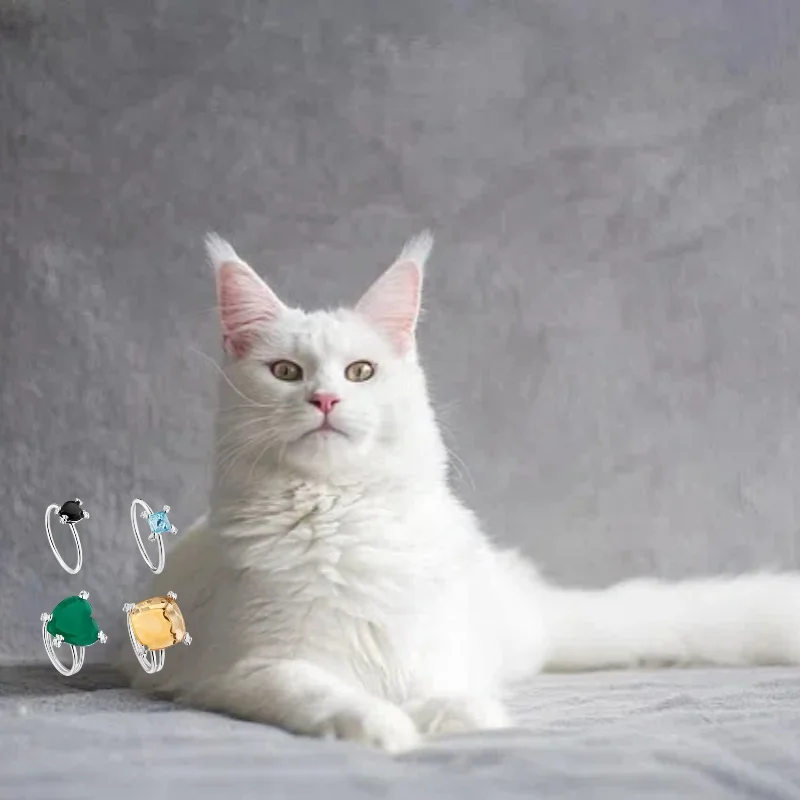 

2025 popular new jewelry 925 silver necklace women's art light luxury personality charm gentle diamond inlaid classic jewelry