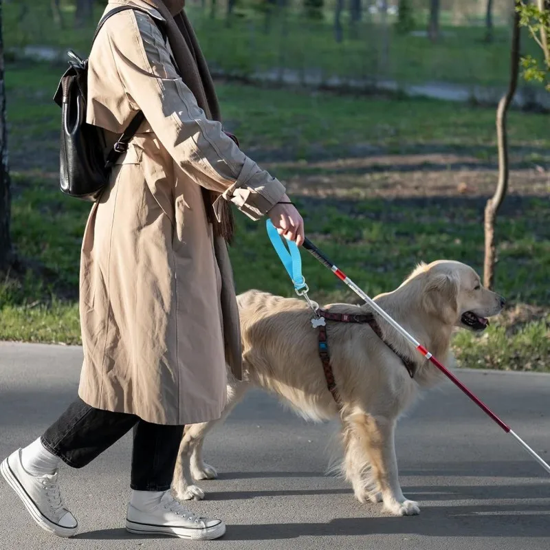 Dog Leash Short Dogs Leashes 25cm Extend Rope Leash for Dog Walking Nylon Extension Ropes Leashes Dogs Chain Pet Accessories