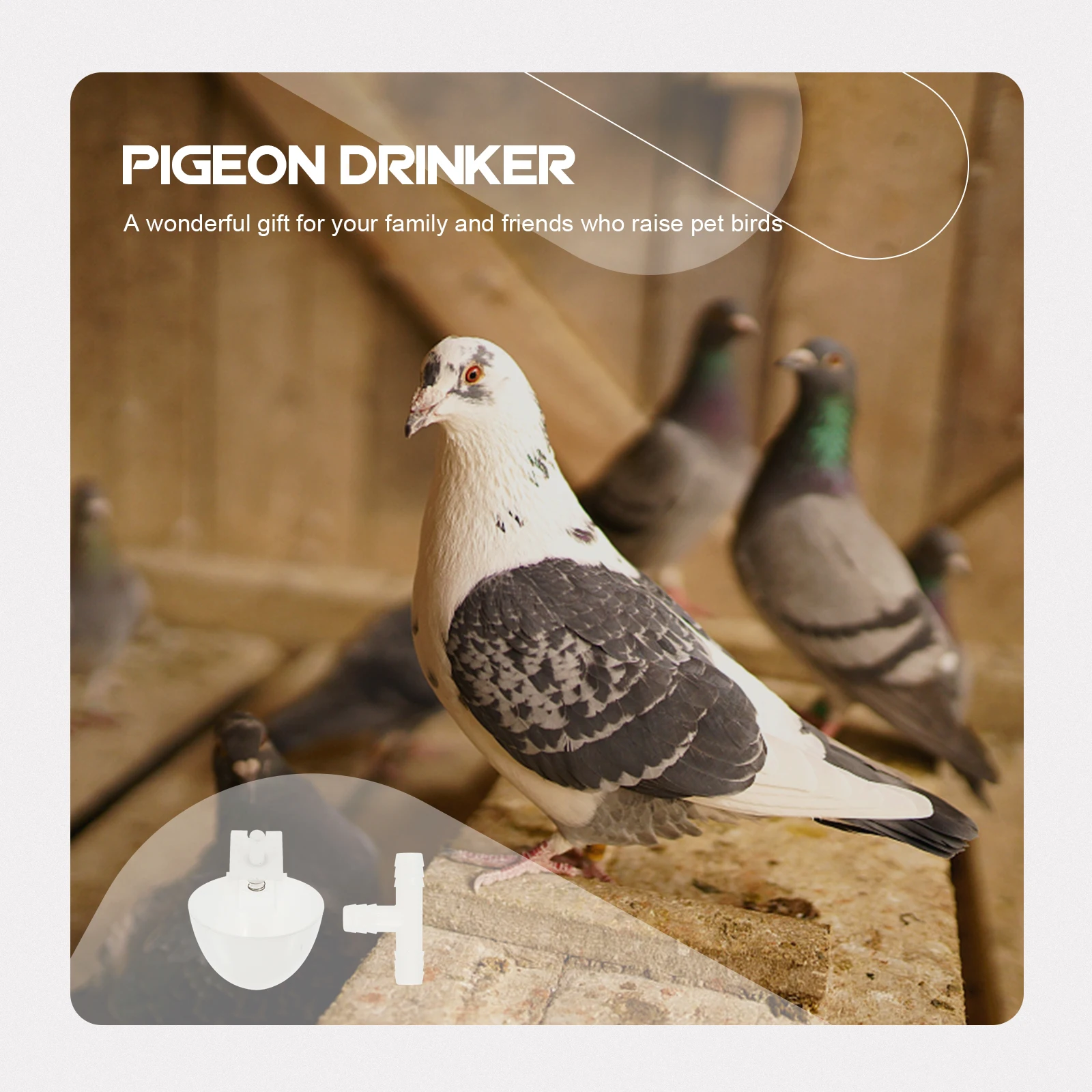 

Pigeon Drinker Bird Waterer Durable Self Feeder Supplies Pet Drinking Tool Large Capacity Premium Material Long Use