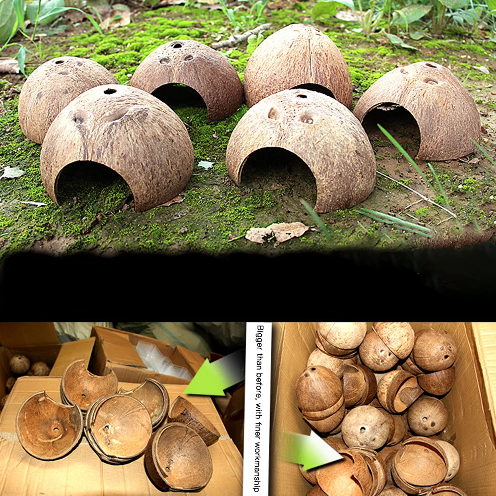 Reptiles Hide From Caves Concealed Coconut Shells DIY Amphibian Breeding Box House Garden Decoration Accessories