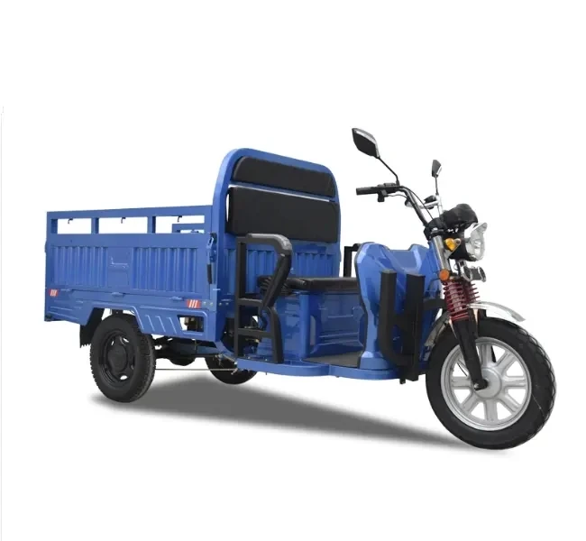 Electric Tricycle with Blue Color High Performance China Warehouse 3 Wheel Electric Scooter for Adult Tricycle