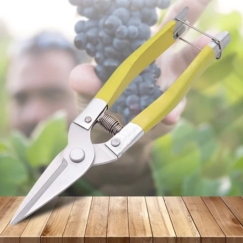 Sécateur de jardin en acier inoxydable avec poignée coordonnante, coupe-tuyau en PVC, ciseaux à branches de fruits bonsaï, plastique trempé, ménage