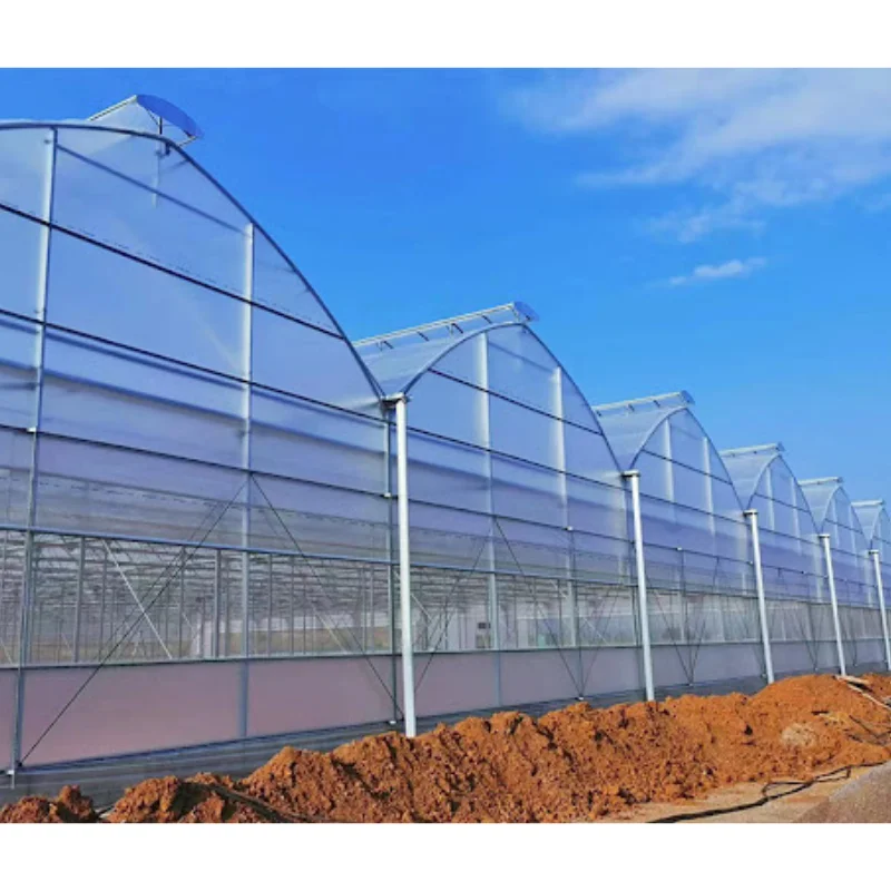 

Customized greenhouseAgricultural Vegetables/Tomatoes Planting Tent Film Greenhouse Po/PE Cover Frame Steel Galvanized Multi-Spa