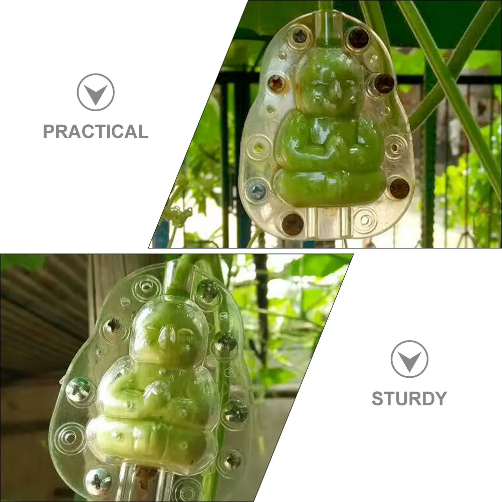

5Pcs Durable Transparent Melon Fruit Growing Mold Multi-Function Vegetable Shaping Mold Garden Use Fruit Accessory
