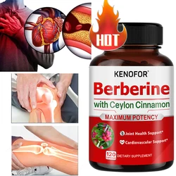 Ceylon Cinnamon + Berberine Capsules Relieve Joint Pain, Support Cardiovascular Health and Immunity, and Replenish Body Energy