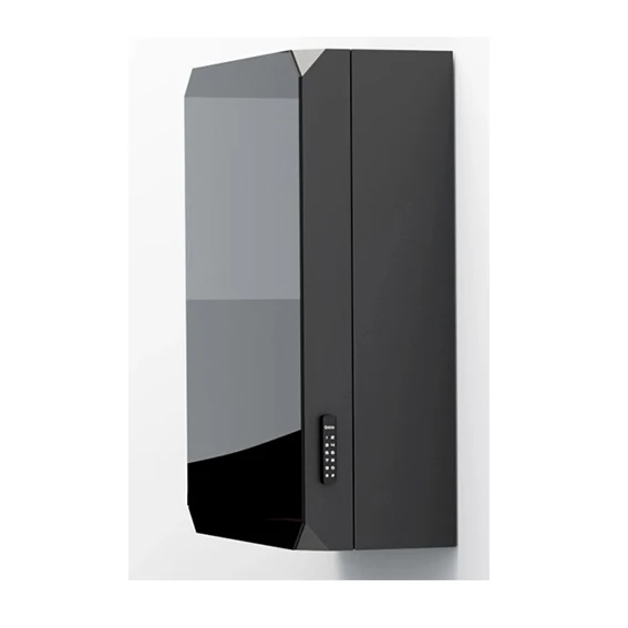 EV Wallbox Protection Cabinet EV Charger Box Glass Panel Mirror Black White Manufacturer Factory Directly