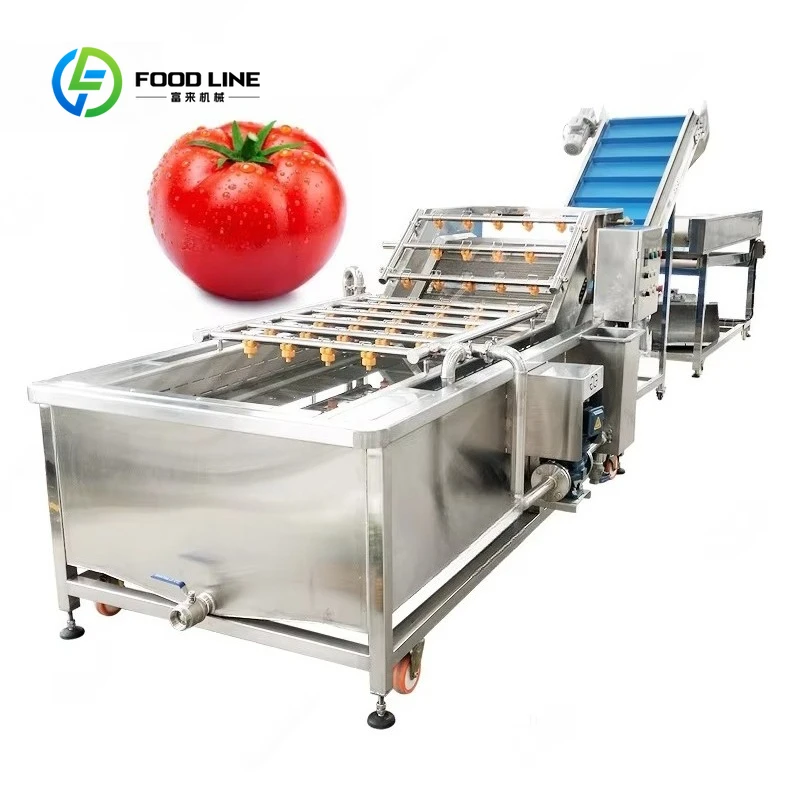 Commercial Custom Air Bubble Ozone Washer Fruit Vegetable Washing Machine Gentle Cleaning No Damage To Produce