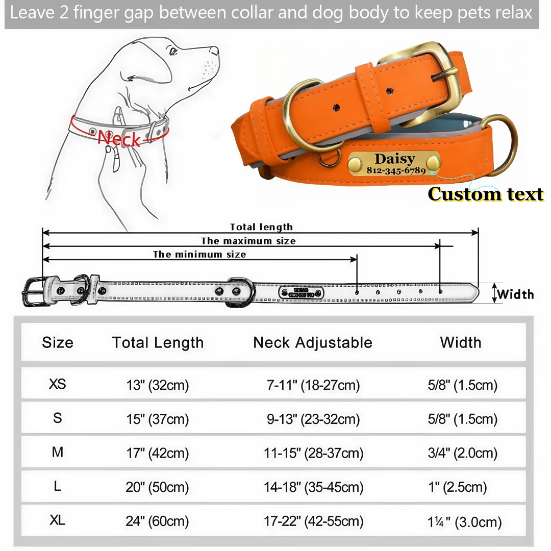 Thumbnail 4 - #11 Latest Dog Tags Offers