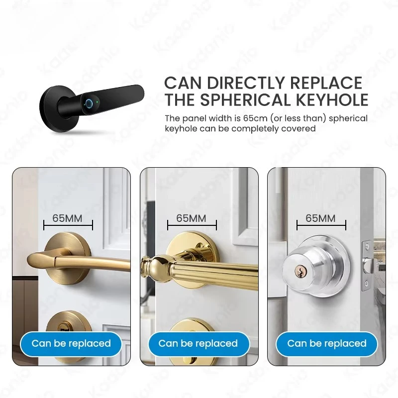 Electric Keyless Doorlock Handle Smart Fingerprint Zinc Alloy Bedroom Door Lock With Key