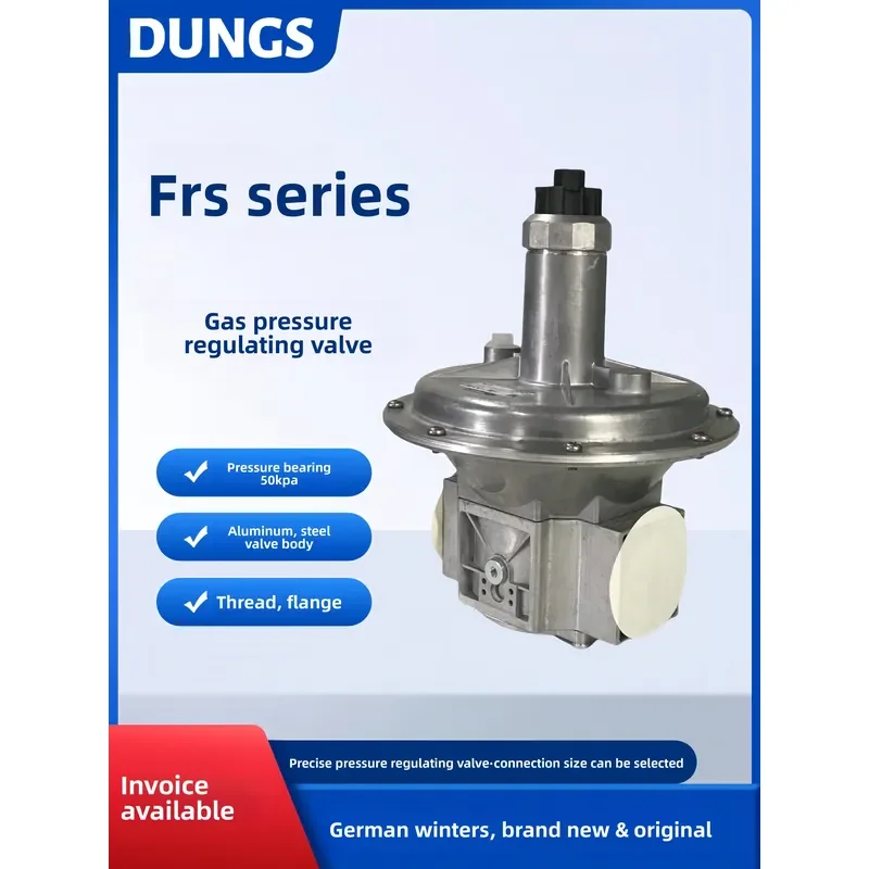 Original DUNGS Pressure Regulator FRS503 505 507 510 515 520 Liquefied Pressure Reducing Valve Angle Thread Connection 2