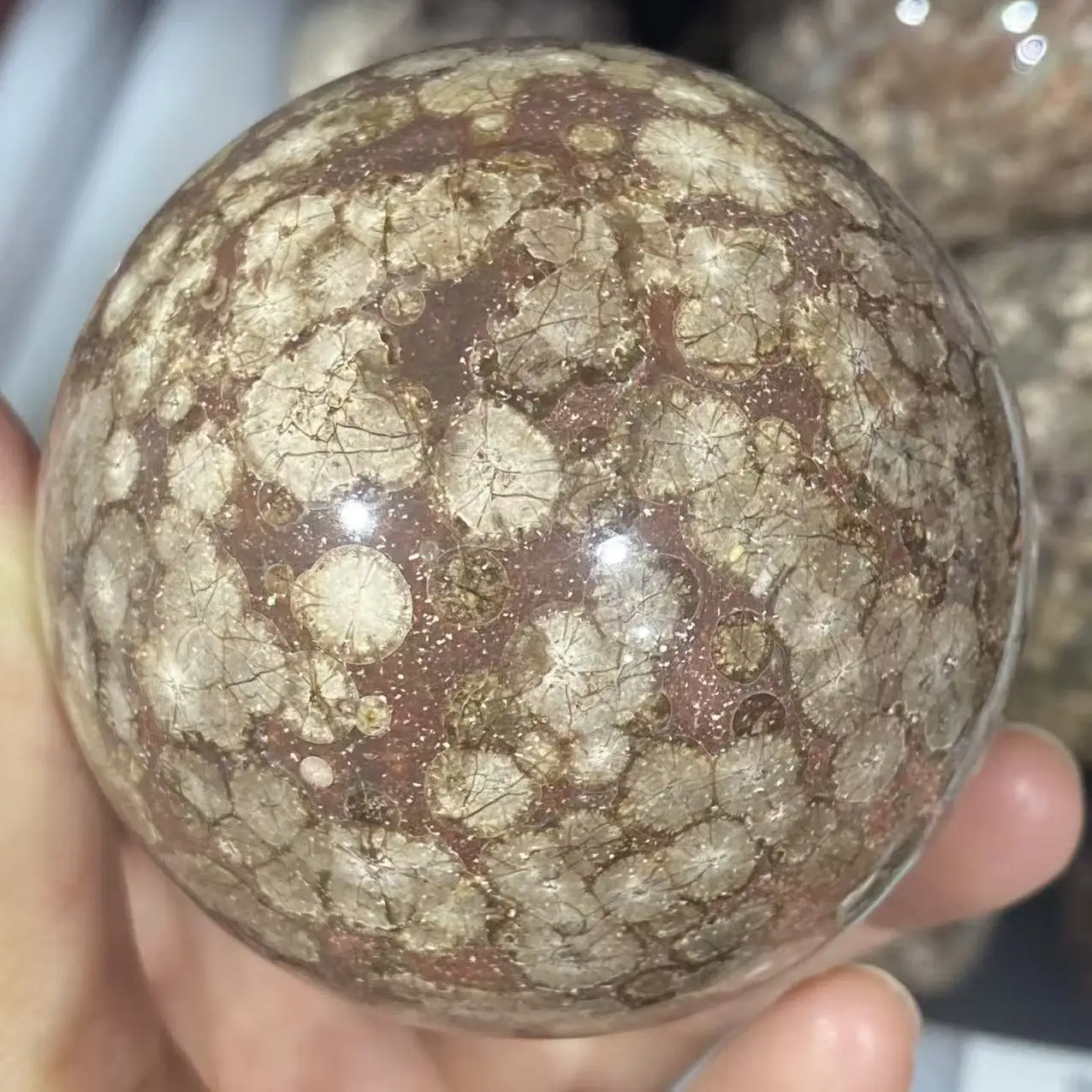 Natural Flower Agate Crystal Quartz Sphere, For Spiritual Healing, Meditation And Divination, As a Gift, For Purification, Divin