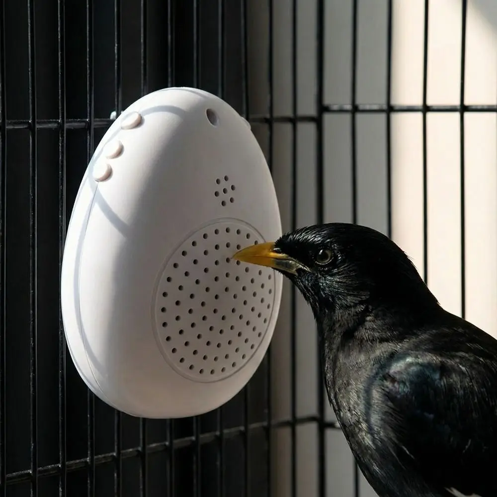 Recording Bird Learning Machine Interactive Playback Parrot Teach Talking Timer-Controlled Multi Segment Audio Source