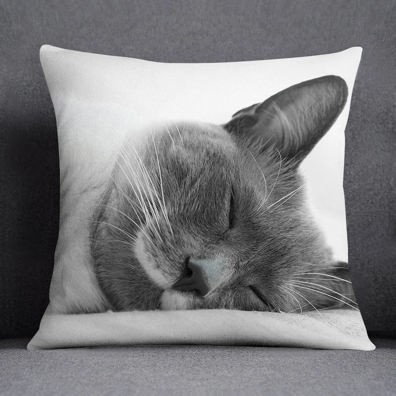 Cat series pattern decorative pillowcase, square  home office decoration (45cm * 45cm)