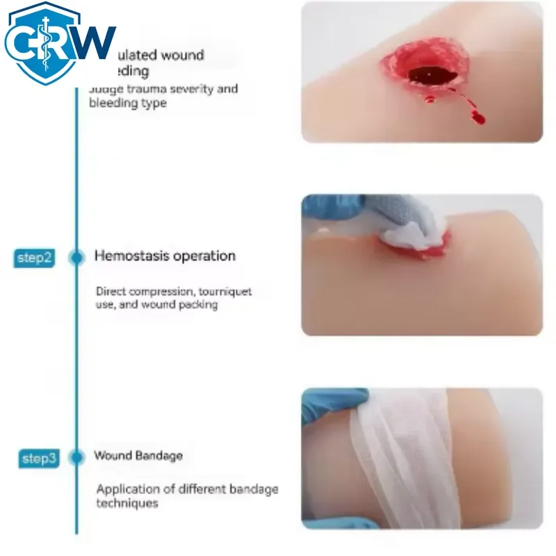 CRW Bestselling Wound Care Wound Models Bleed Control Tourniquet Trainer Simulates Wound on the Thigh Bleeding Training Kit view 2