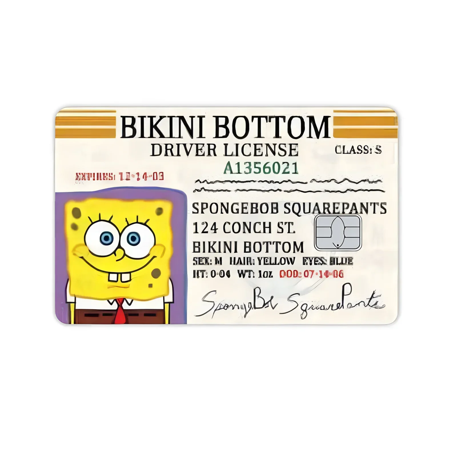 Name Spongebob Karten-Aufkleber DIY Kawaii Deko Exquisite Bankkarten Schüler-Lernmaterialien Aufkleber Dokumenten-Patches Geburtstagsgeschenk