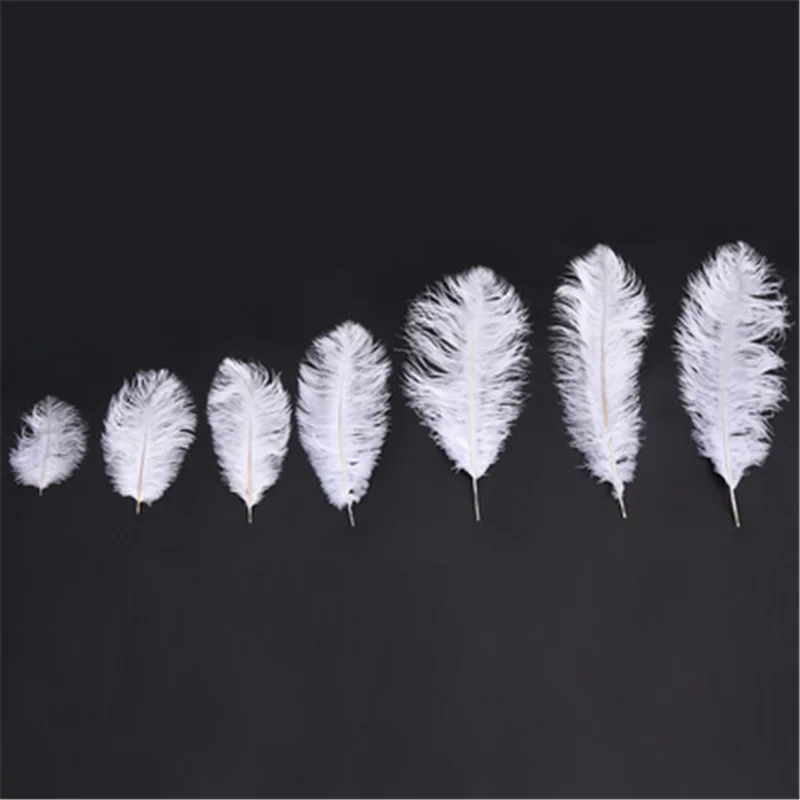 White Ostrich Feathers 15-70cm Decorative 10 Pcs