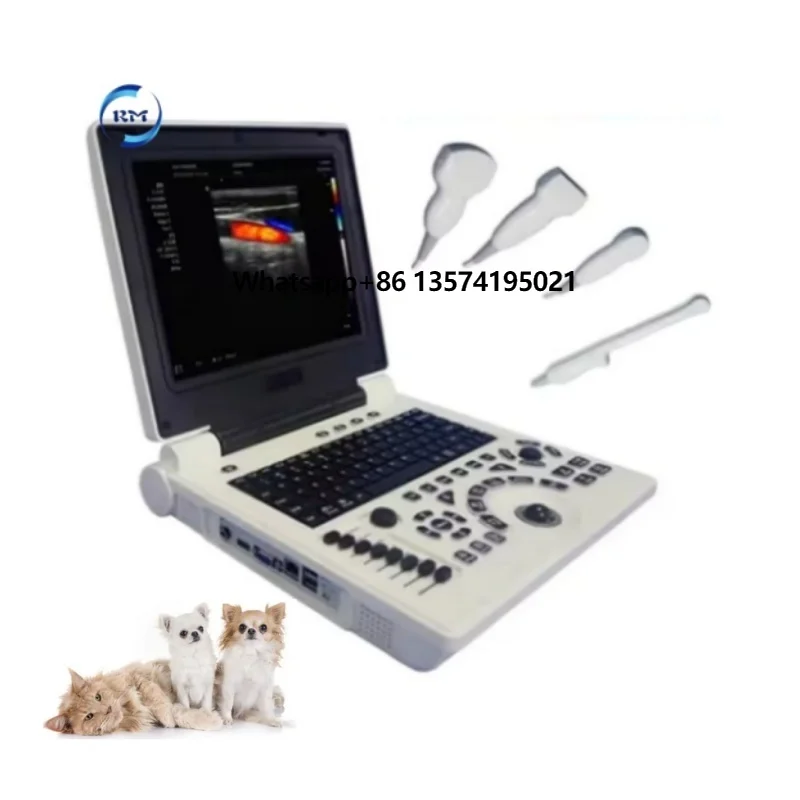 Rayman PW Vet Veterinary Animals Use Ultrasound Scanner Laptop Portable Ultrasound Echo Scanner Ultrasound Machine