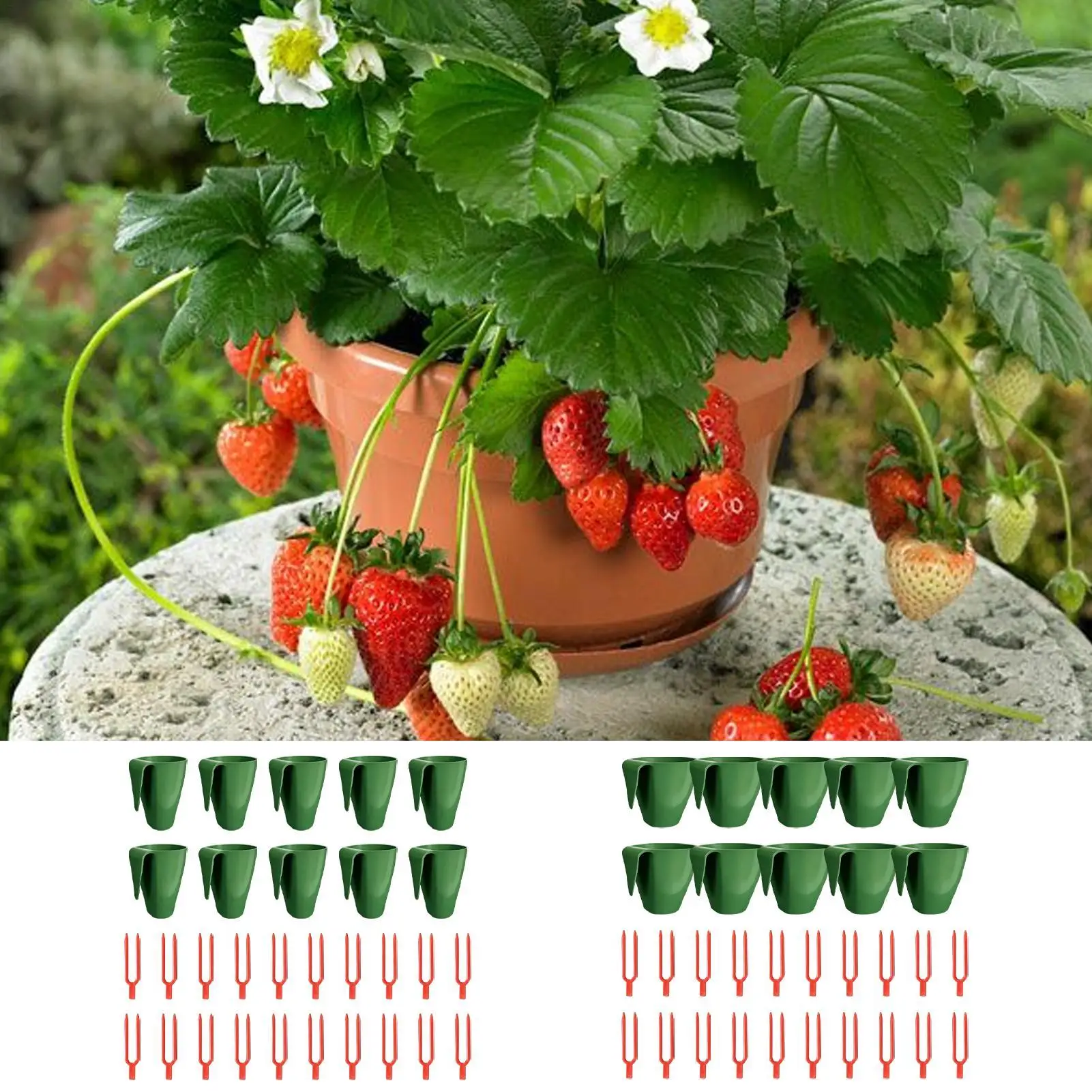 Strawberry Propagation Cups 10 Pieces with 20 Runner Forks Breathable Reusable Rooting Kit for Home Garden Balcony Patio Yard