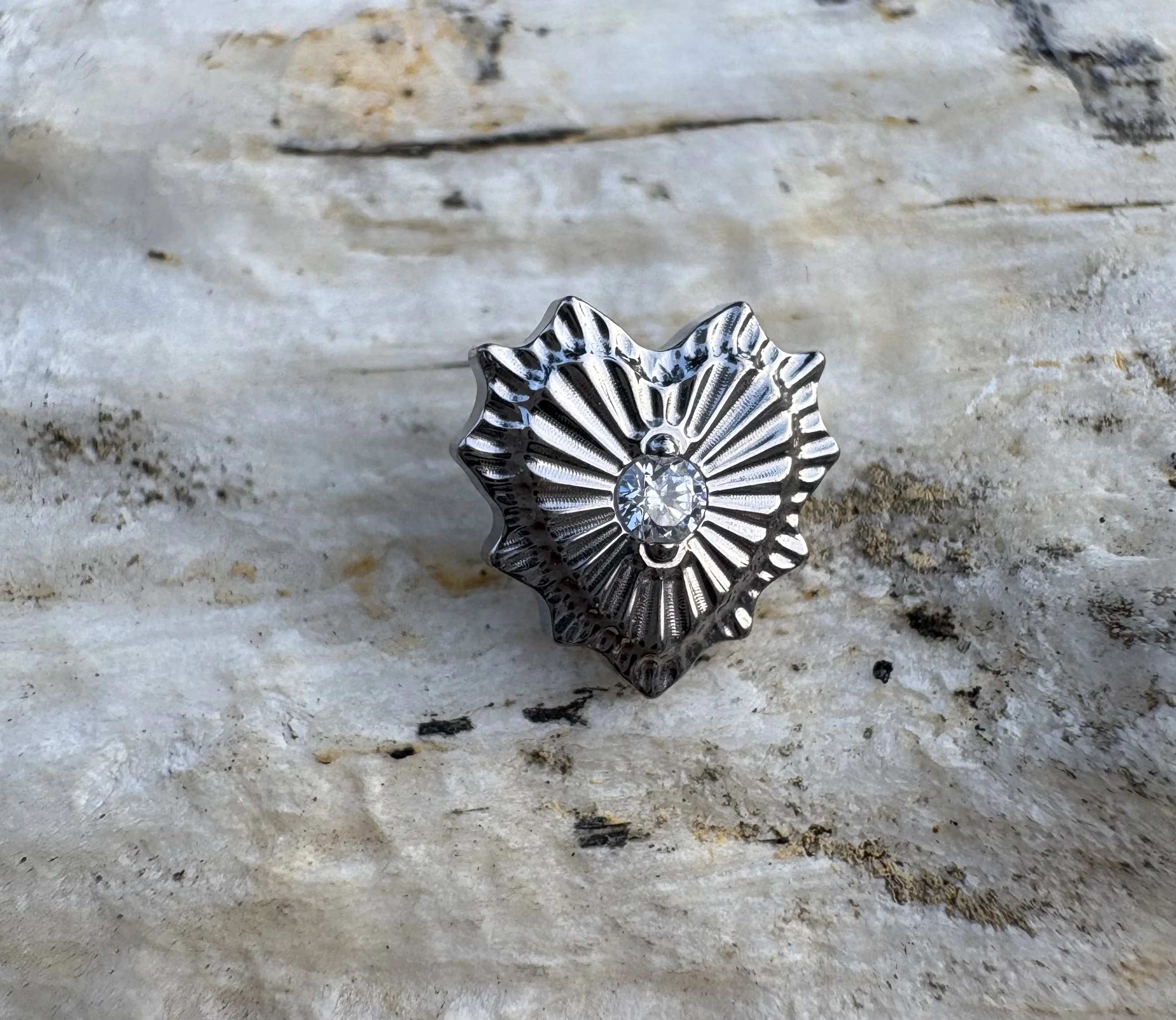 16 جرام زرع الصف التيتانيوم ASTM F136 موضوع داخلي العنكبوت الجمجمة ويب اليقطين الأذن Labret الغضروف Daith الشفاه ترصيع مجوهرات للجسم