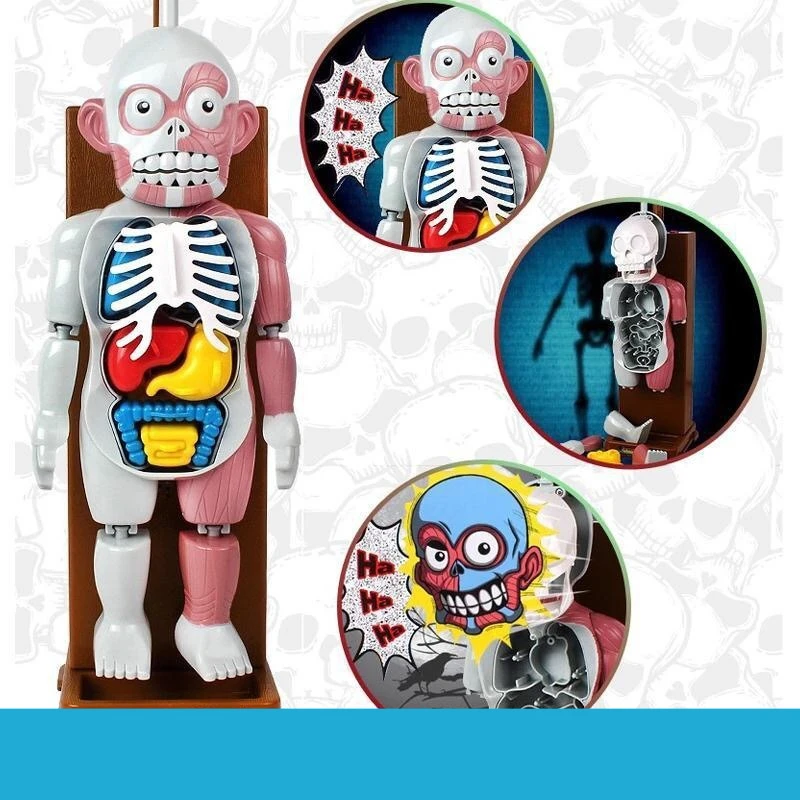 ของเล่นแปลกใหม่รูปทรงร่างกายมีเสียง ตลกขบขัน ของเล่นเล่นสนุก เกมปาร์ตี้ ของเล่นแบบอินเทอร์แอคทีฟ สำหรับเด็กและผู้ใหญ่ ของขวัญสุดสร้างสรรค์