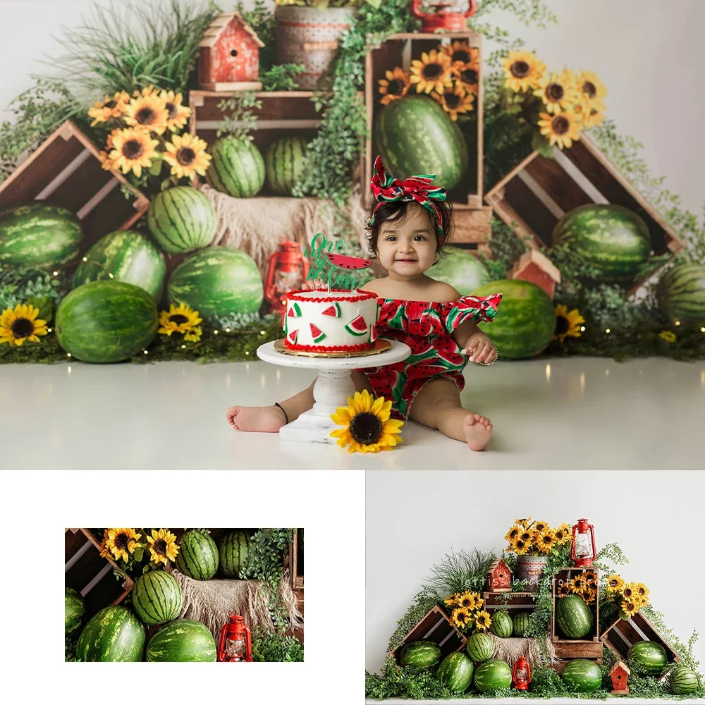 

One In A Melon Backdrops Kids Baby Photography Props Child Adult Photocall Decors Birthday Fruits Watermelon Background