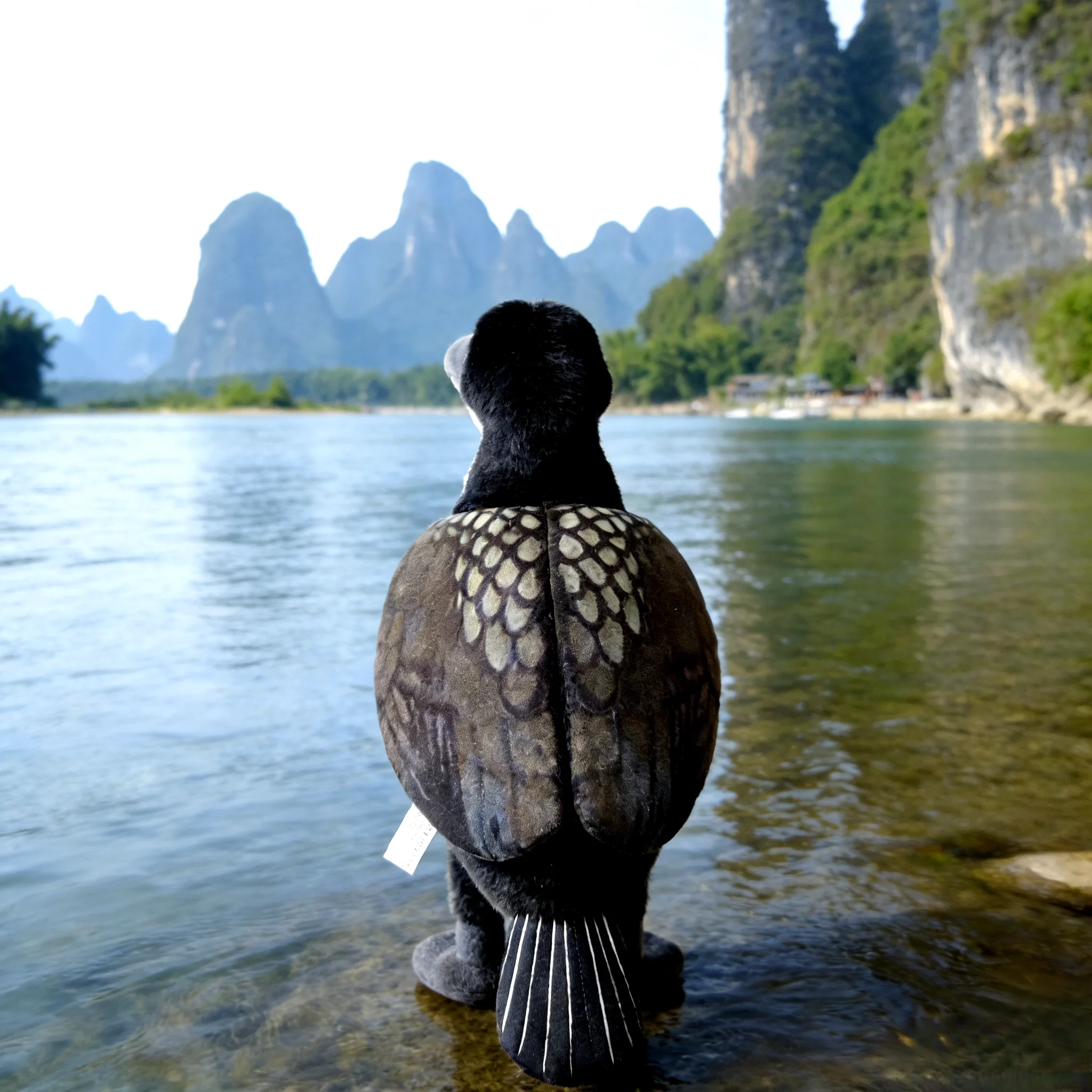 Great Cormorant Black Shag Fish Hawk Osprey Bird Waterfowl Simulated Animal Wild Nature Model Plush Toy Stuffed Doll Friend Gift