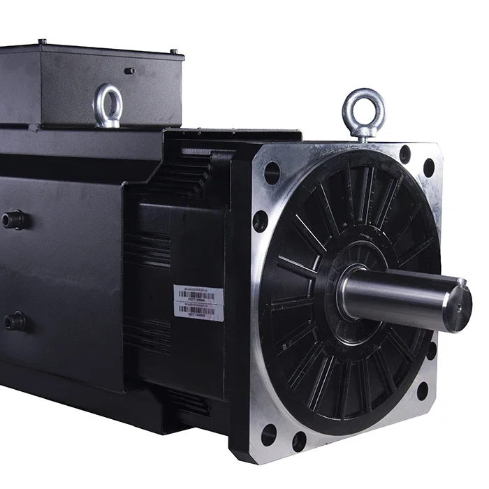 Рисунок 6 - Серводвигатели Synmot 42 кВт 264