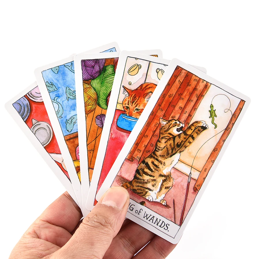 CAT TAROT Tarot Cat: 78 kart Megan Lynn Kott Ten rozrywka nowoczesna kolejka do klasycznego tarota