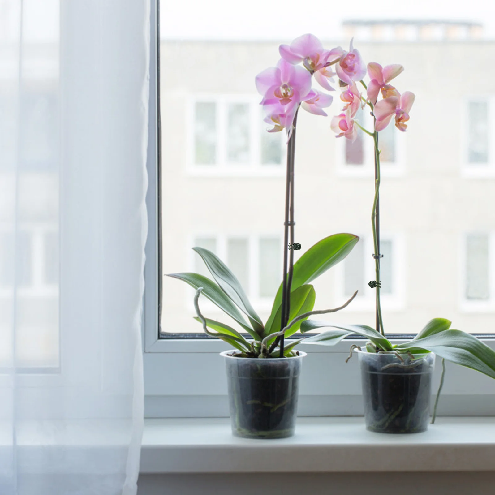 

100Pcs Garden Clip Set Plastic Plant Fixing Clips for Outdoor Greenhouse Plants Support Plant Fixing Clips Garden Clip Set