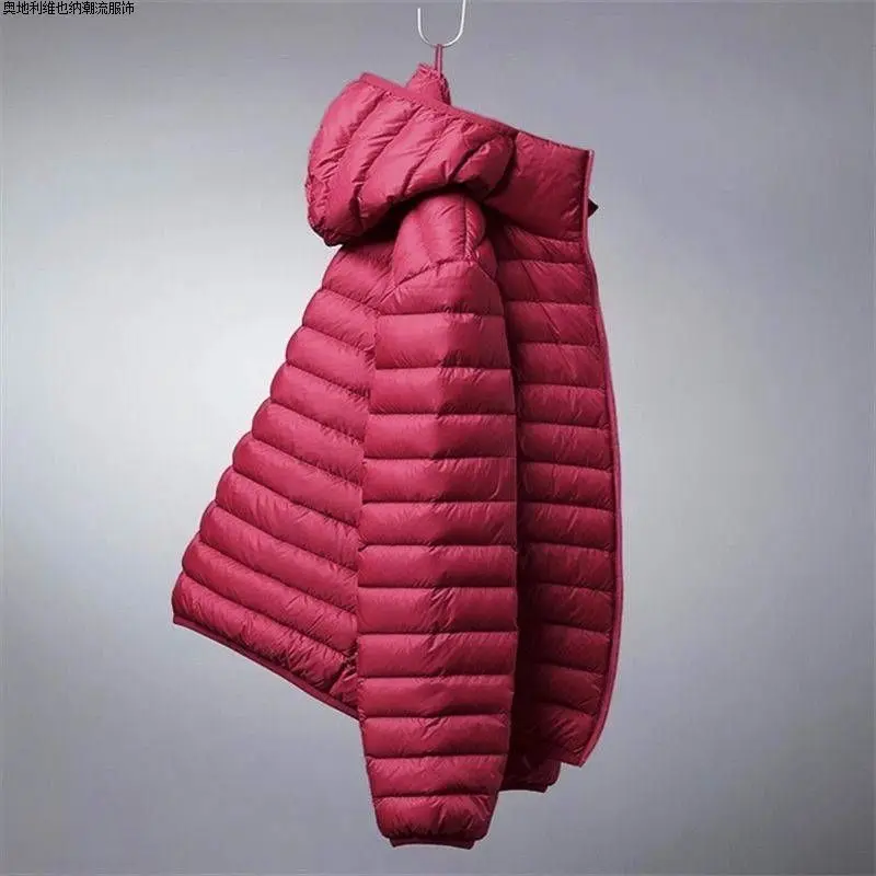 2024 New Light and Thin Down Cotton Men's Stand-up Collar Hooded Thermal Jacket winter jacket men