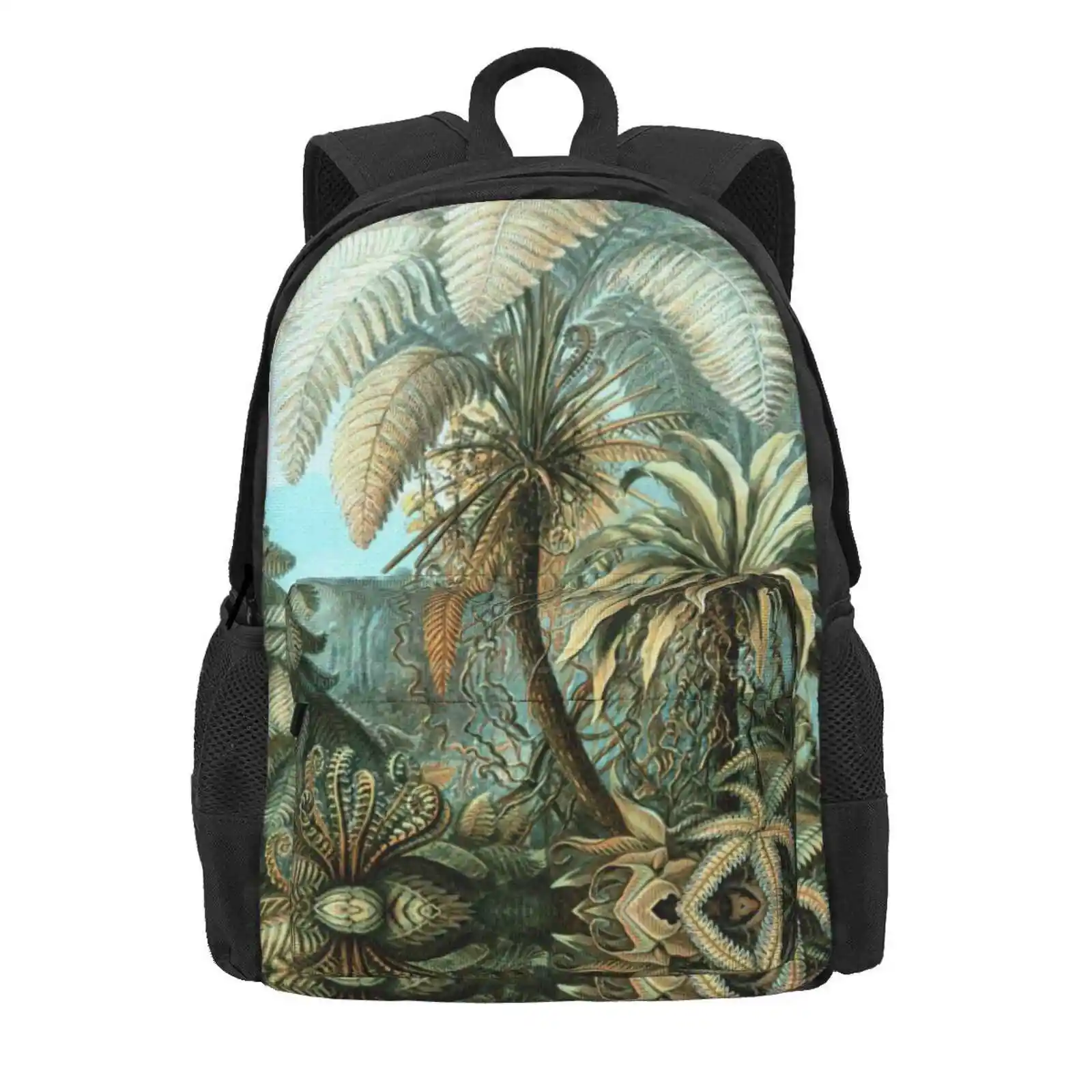 Botanical, Vintage, Ferns, Palm Trees, Rainforest Hot Sale Schoolbag Backpack Fashion Bags Ernst Haeckel Botanical Vintage