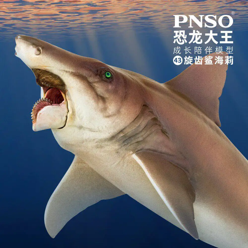 in-stock-pnso-helicoprion-haley-dinosaur-king-growth-companion-model-43-birthday-gift-ornament-for-boys-and-girls