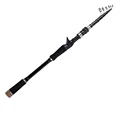Casting Rod